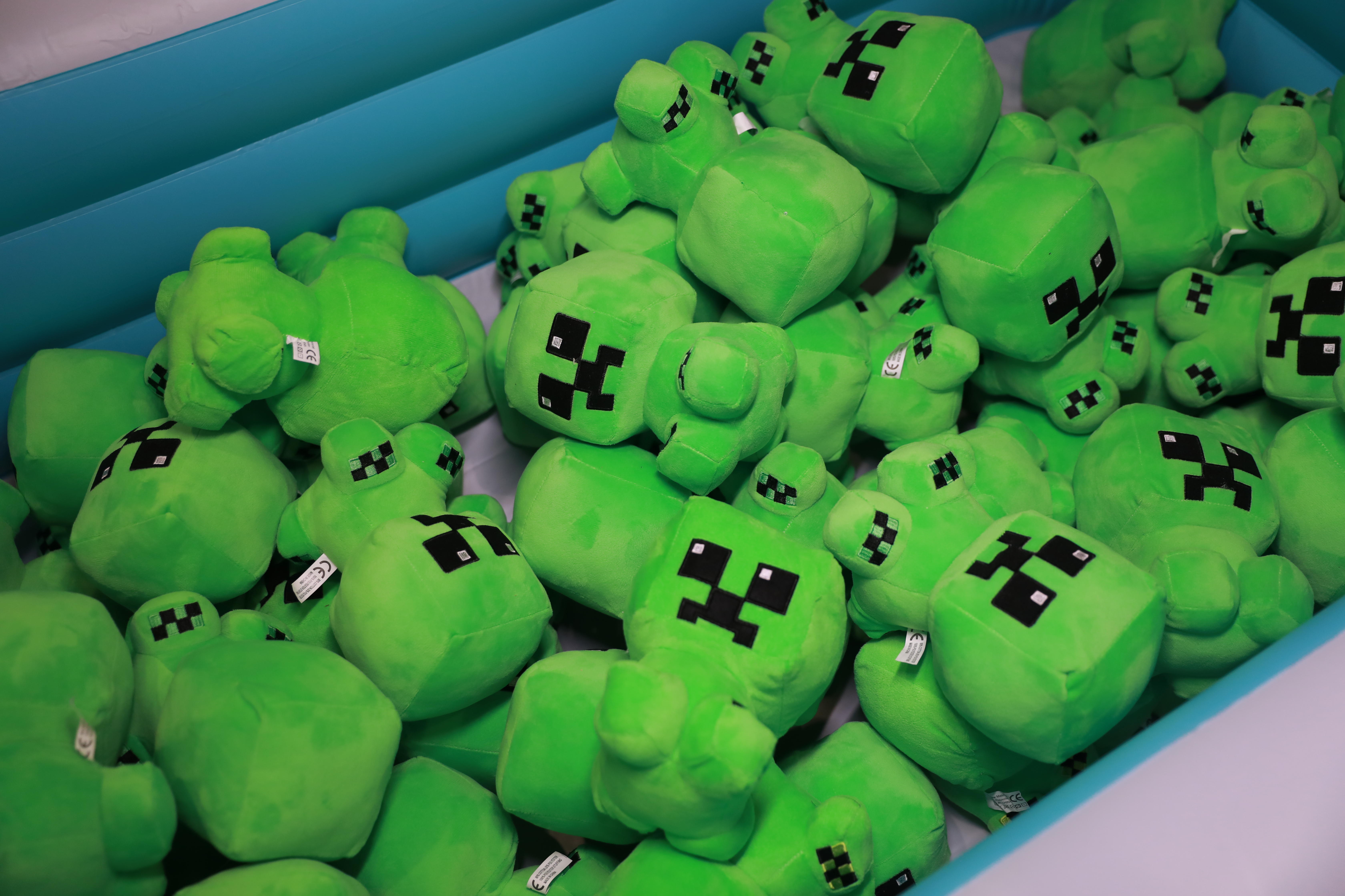 厦门 ANE 动漫展 Minecraft 主题专区现场